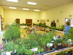 Plant Sale