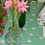 Guest Night 2016 Guest Night 2016