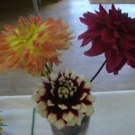 10Dahlias 10Dahlias