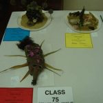 1SeaCreatures 1SeaCreatures
