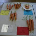 3Carrots-_000 3Carrots-_000