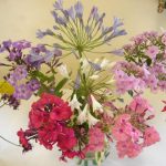 4MixedFlowers 4MixedFlowers
