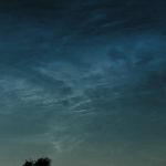 DSCN1693