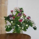 flowers_8634 flowers_8634