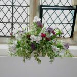 flowers_8635 flowers_8635