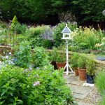 lis_topes_garden_p1040525 lis_topes_garden_p1040525