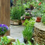 lis_topes_garden_p1040531 lis_topes_garden_p1040531