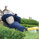 scarecrow_8188