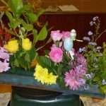 april 2017 p1000539 april 2017 p1000539
