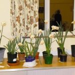april 2017 p1000541 april 2017 p1000541