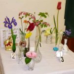 april 2017 p1000547 april 2017 p1000547