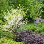 may 2017 p1000636 may 2017 p1000636