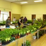 plant sale 2017 p1000653