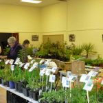 plant sale 2017 p1000654