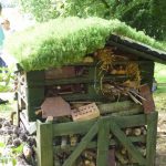 bug hotel p1000679 bug hotel p1000679
