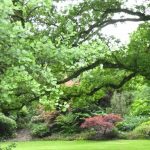 june 2017 p1000697 june 2017 p1000697