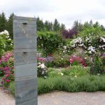 rosemoor june 2017 p1000719 rosemoor june 2017 p1000719