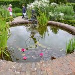 rosemoor june 2017 p1000722 rosemoor june 2017 p1000722