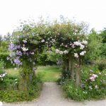 rosemoor june 2017 p1000723 rosemoor june 2017 p1000723