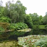 rosemoor june 2017 p1000726 rosemoor june 2017 p1000726