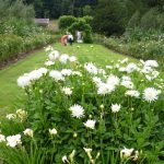 july 2017 p1000741 july 2017 p1000741