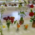 flower show 2017 p1000783