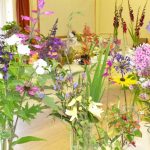 flower show 2017 p1000784