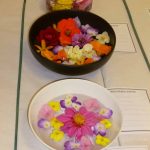 flower show 2017 p1000805