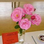 flower show 2017 p1000816