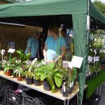 flower show 2017 p1000833