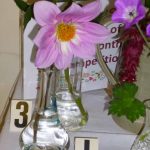 september 2017 p1000858 september 2017 p1000858