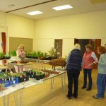 Plant Sale - preparing Plant Sale - preparing