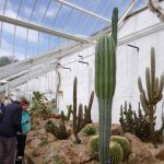 Dyffryn 2018 p1010602 Dyffryn 2018 p1010602