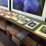 june 2018 photo 21-06-2018, 17 56 59 june 2018 photo 21-06-2018, 17 56 59