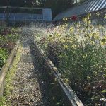 june 2018 photo 21-06-2018, 18 21 05 june 2018 photo 21-06-2018, 18 21 05