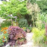 july 2018 p1010622 july 2018 p1010622