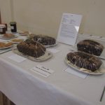 IMG_2798 IMG_2798