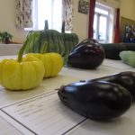 IMG_2808 IMG_2808