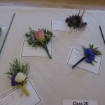 IMG_2811 IMG_2811