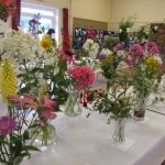 IMG_2815 IMG_2815