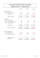 SPFA Balance sheet 2019 03 31
