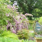 Sir Harold Hillier Garden P1020081 Sir Harold Hillier Garden P1020081
